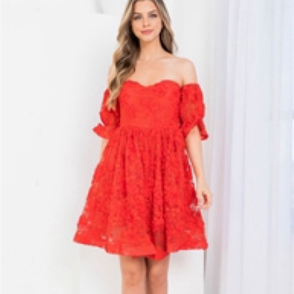 Red Lace Dress for Valentines or that special date - Picture 2 of 12